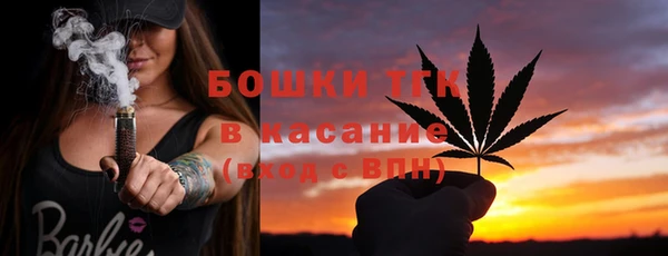 стафф Арсеньев