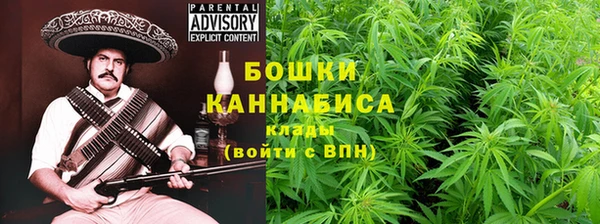 шишки Армянск